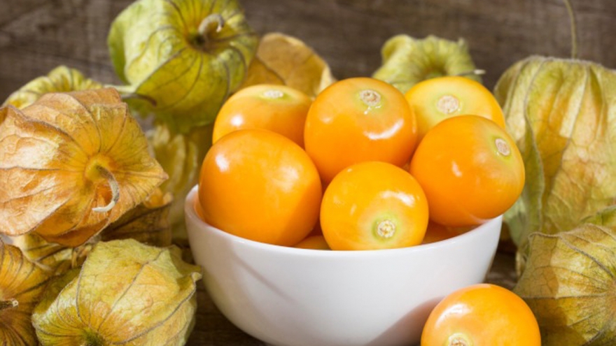 Từ cỏ dại ven đường thành đặc sản “đèn lồng” giá tiền triệu mỗi sào